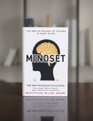 Mindset book cover with brain illustration